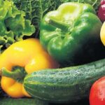 Vega hap eczaneden almak