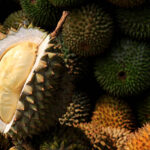 Kamagra jel için en uygun fiyat