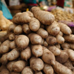 Vega 4 lü hap almak istiyorum