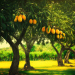 Çin topu 4 lü macun en ucuz fiyat