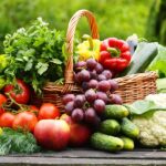 Vega 8 li hap ne işe yarar