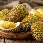 Çin topu 8 li hap fiyatı ne kadar