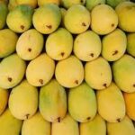 Cobra hapı eczane sipariş hattı